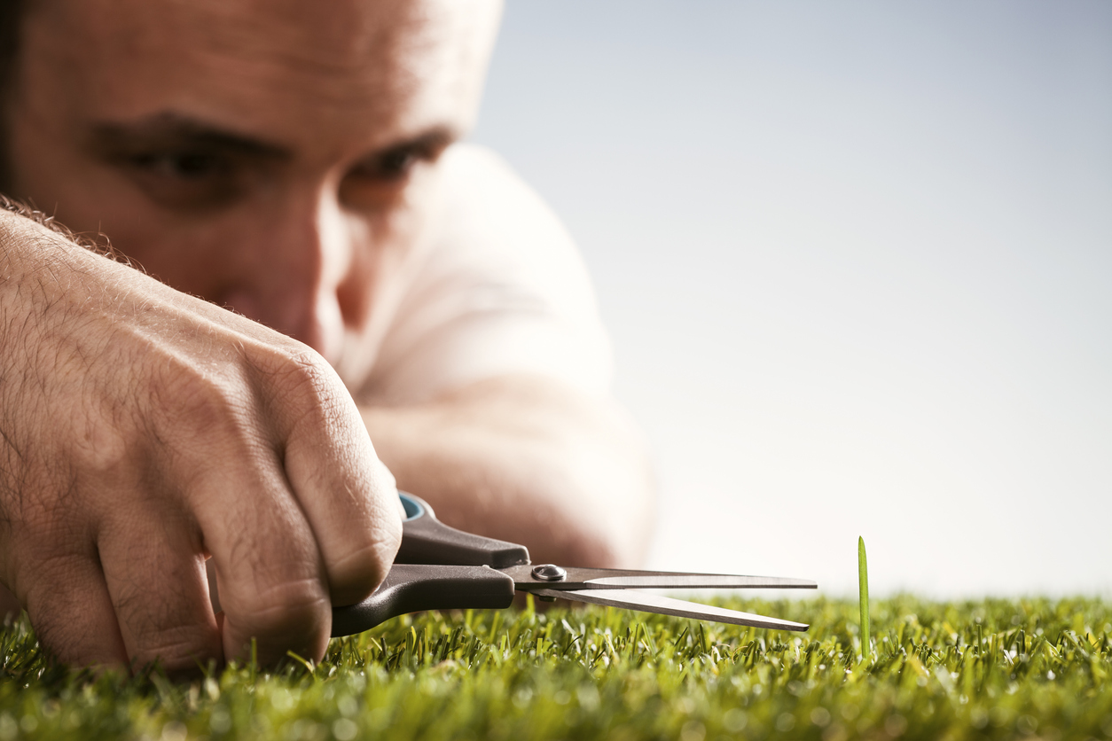 closeup of grass cutting